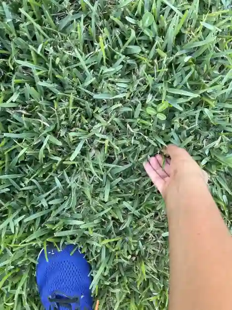 Cryptexe touching grass